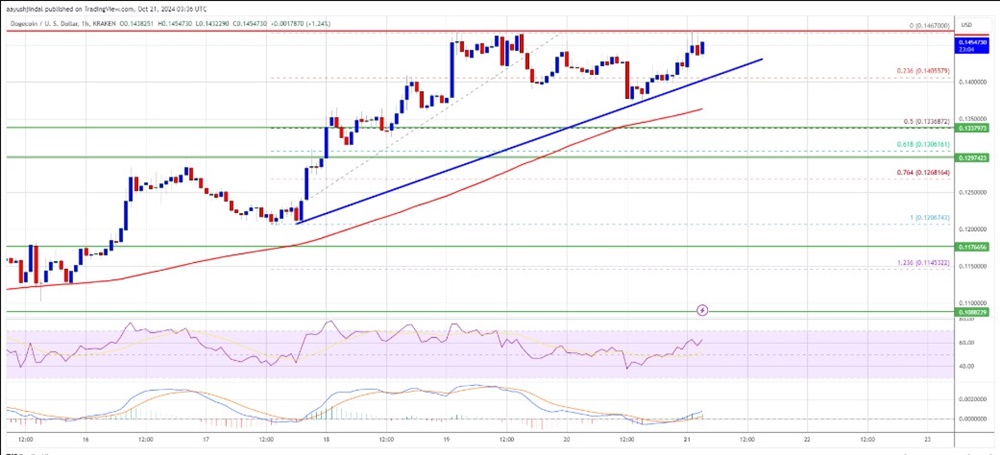 El precio de Dogecoin apunta a más ganancias