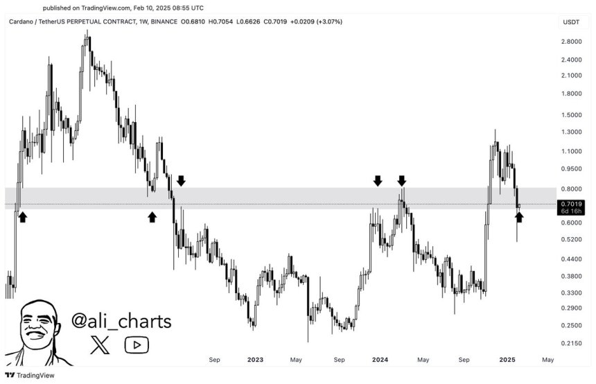 Cardano