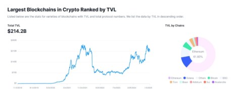 Largest blockchains