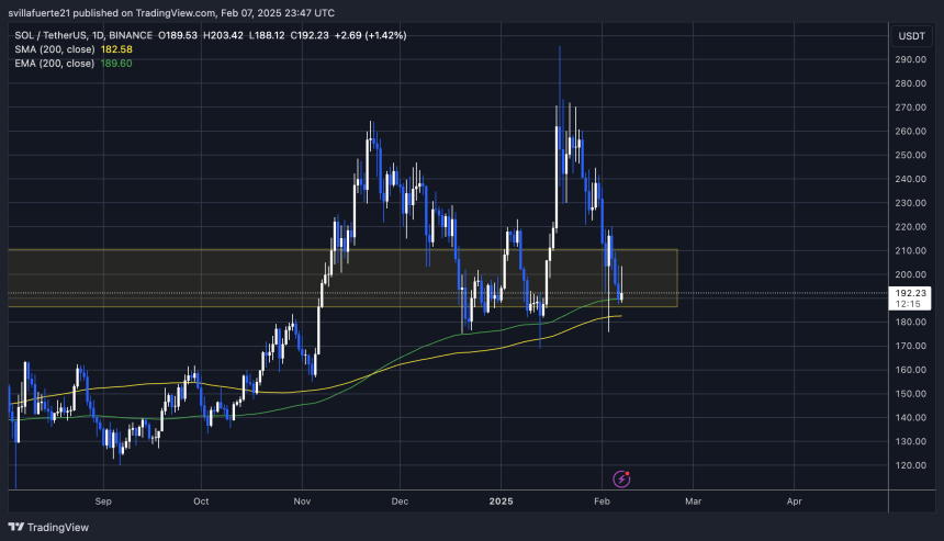 SOL test critical level around $ 190 | Source: Solusdt -Grafiek on TradingView