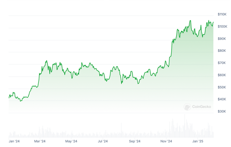 Gráfico del precio de bitcoin en 2024