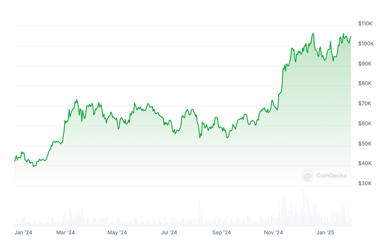 vývoj ceny bitcoinu v 2024