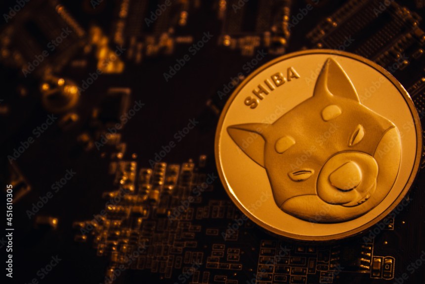 Shiba Inu