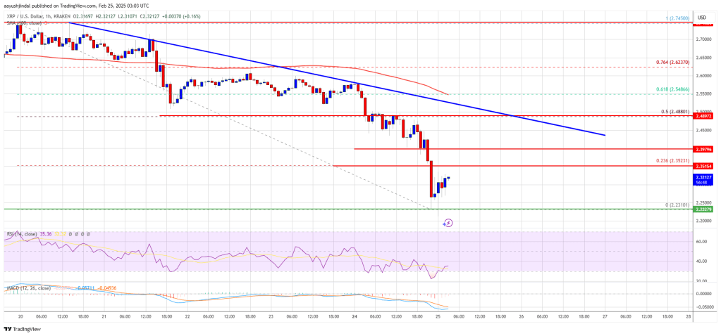 XRP Price