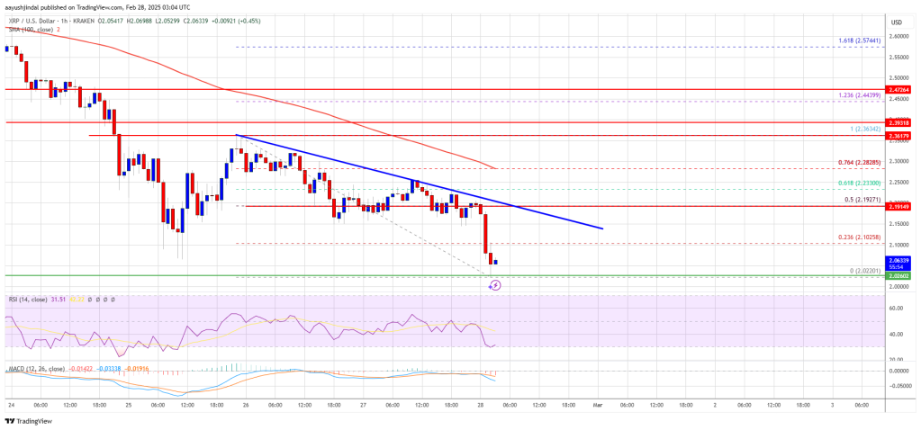 XRP Price 