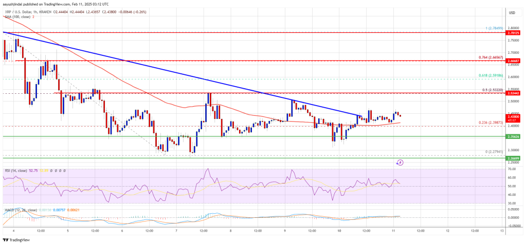 XRP Price