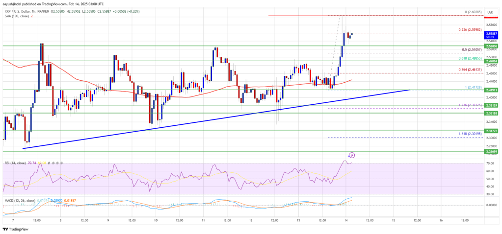 XRP Price