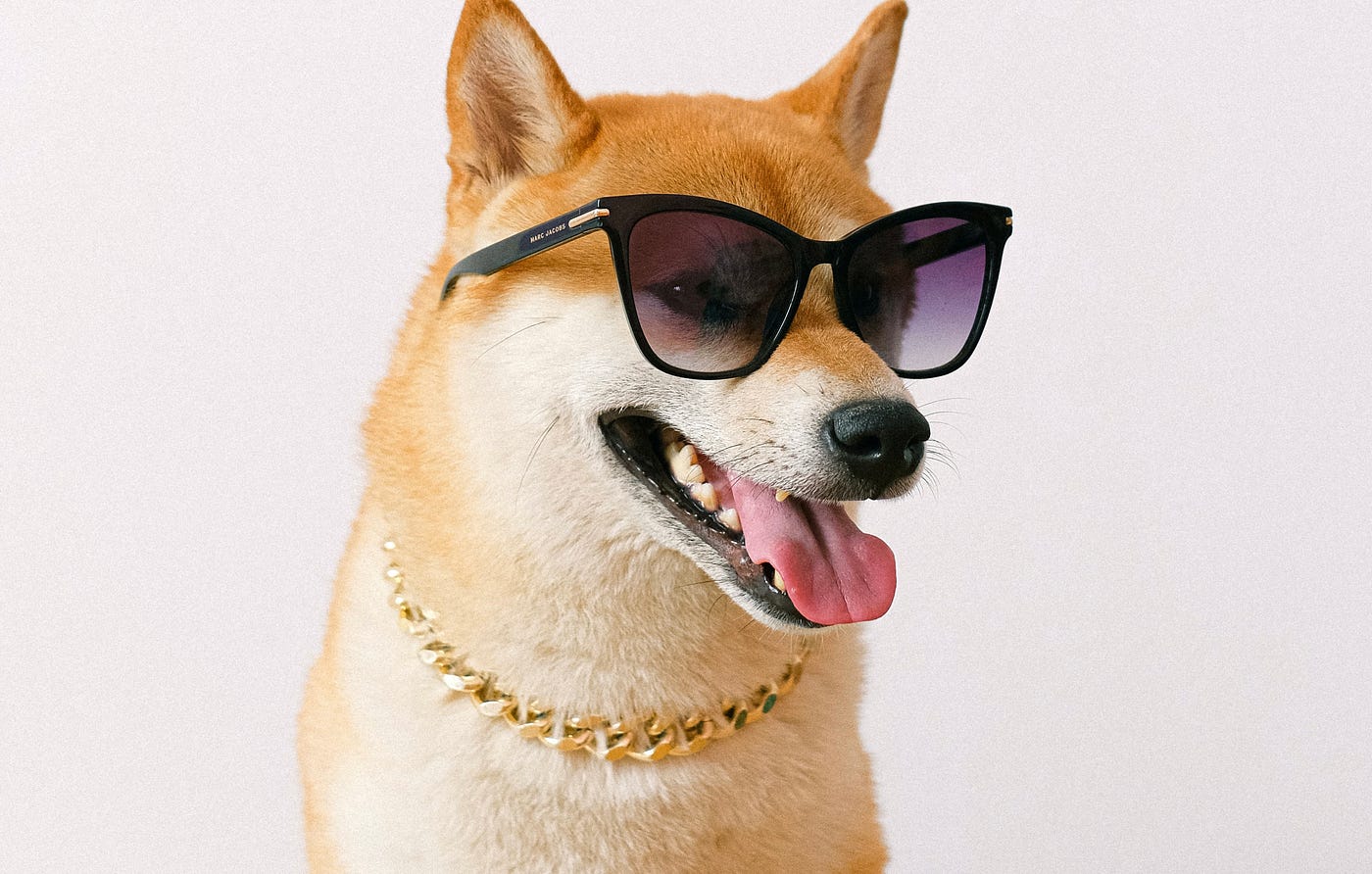 Dogecoin To .35? Analyst Predicts Milestone ‘Within 70 Days’