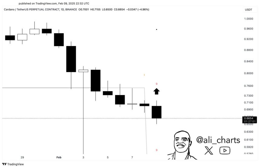 Cardano montre des signes d'un rebond potentiel car l'indicateur de clé clignote un signal d'achat - analyste - La Crypto Monnaie