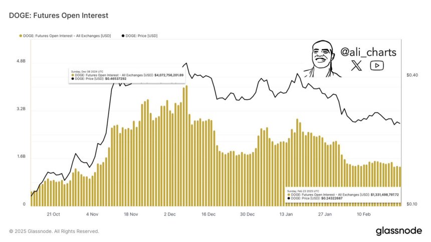 Dogecoin future interest interest Source: Ali Martinez on x