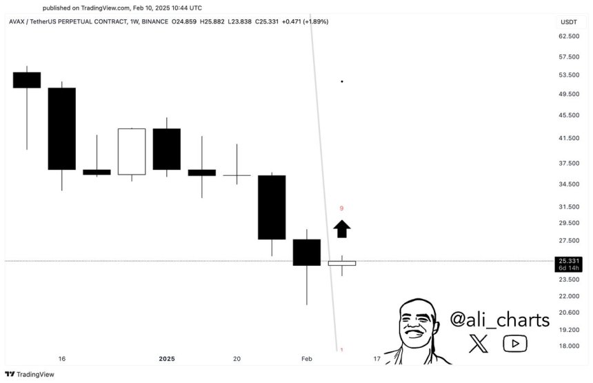 Avalanche Shows Signs Of Recovery As Key Indicator Flashes A Buy Signal – Details