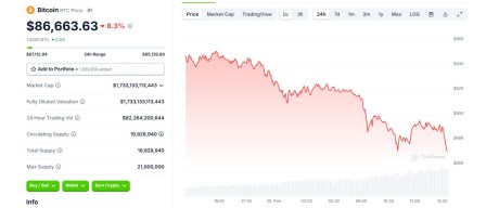 Precio de Bitcoin por la tarde 