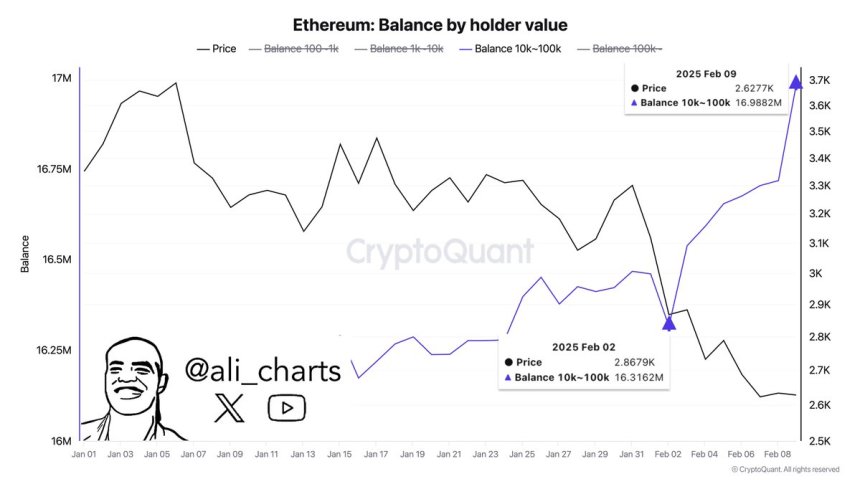 Ethereum whales buy 600,000 ETH in a week | Source: Ali Martinez on X