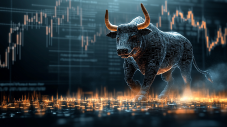 bull run 2025