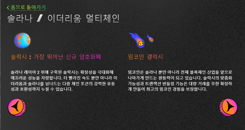 솔락시 멀티체인