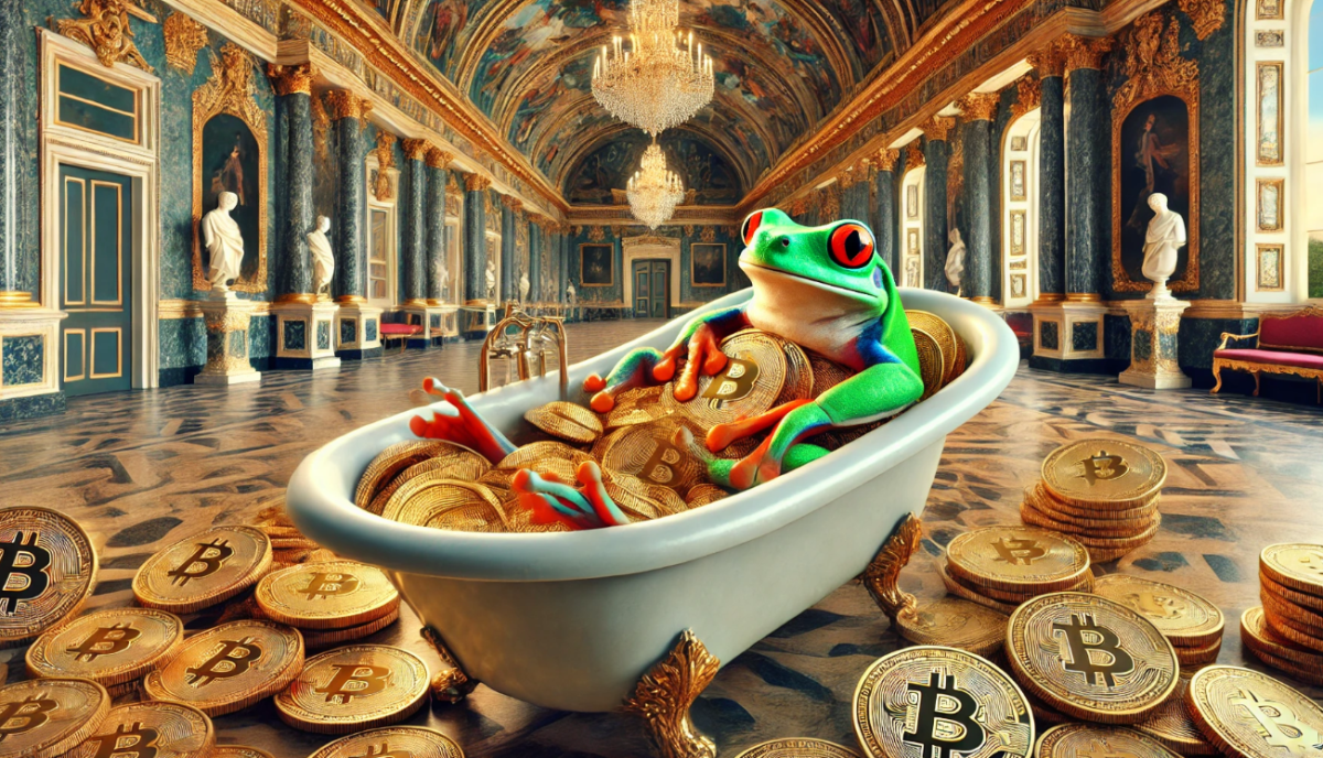 The Rich Hype Over Bitcoin – Will the Market Manifest a Bull Run for Top Meme Coins?