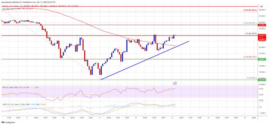 Bitcoin Price Recovery Possible Above $85K—Will Bulls Step In?