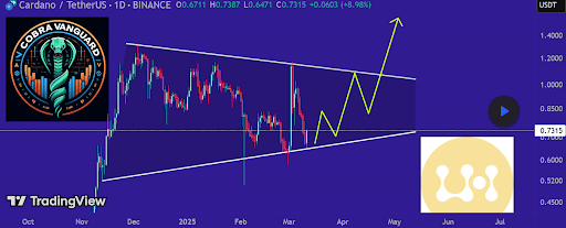 Cardano Price Could Be Set For 100% Rally As This Bullish Triangle Has Formed On The Daily Timeframe