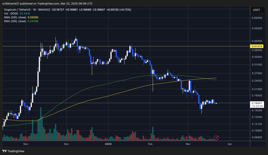 DOGE consolidates below $0.17 | Source: DOGEUSDT chart on TradingView