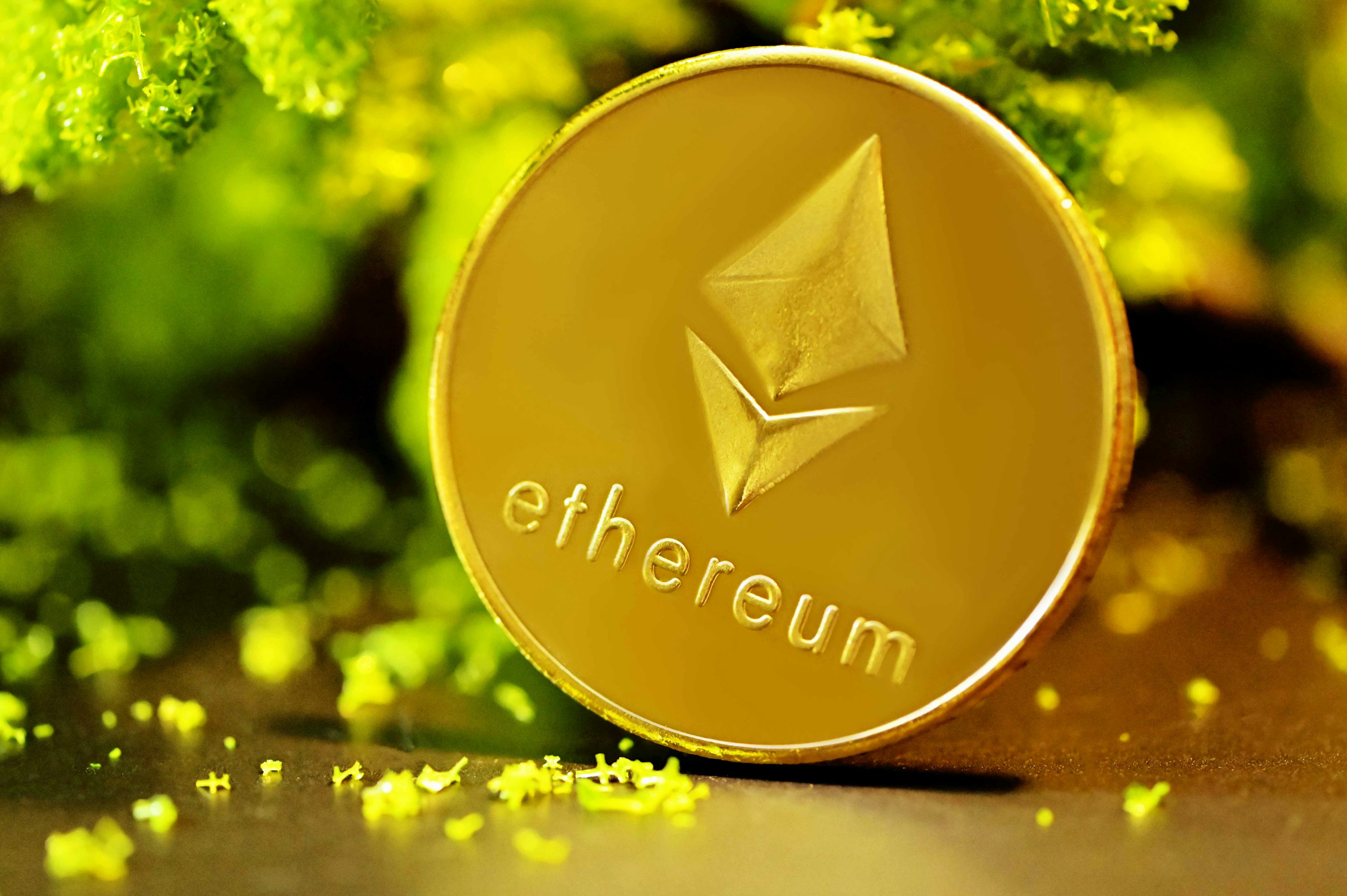 Ethereum, Dogecoin, And The Altcoin Market: Why Up-Only For 217 Days Is Possible