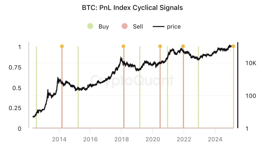 Bitcoin PNL -Indexcyclic signals