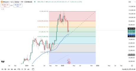 Bitcoin Transaction View