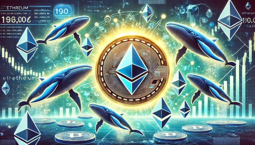 Whales Added 190,000 Ethereum In The Last 24 Hours – The Accumulation Continues