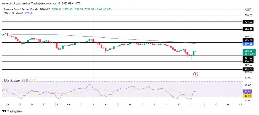 BNB Bulls Take Charge: Price Rebounds Strongly After Recent Dip