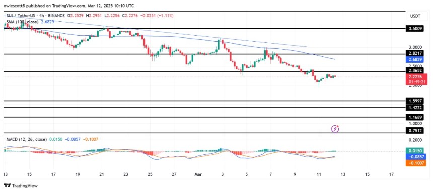 SUI Bulls Check Key Resistance — A Breakout Or Rejection Forward?