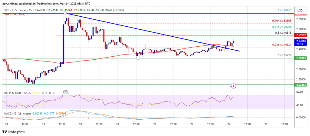 XRP Price