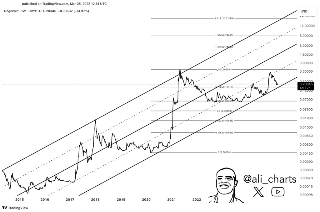 Dogecoin Analyst Predicts Massive Price Explosion—Is $6.24 Far-Fetched?