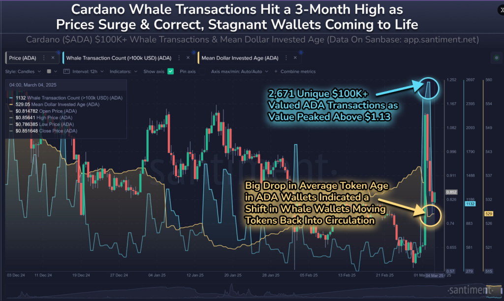 Cardano (Ada) plane alors que l'activité des baleines atteint un haut de 3 mois - quelle est la prochaine? - La Crypto Monnaie