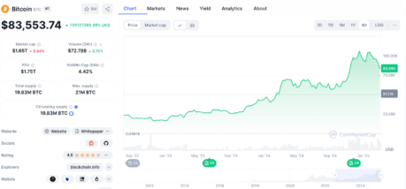 Bitcoin market in an overall rise despite the recent dip