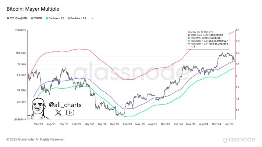 Bitcoin Mayer Multiple Source: Ali Martinez on x