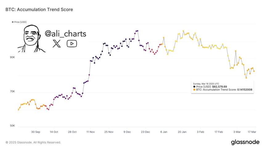 Bitcoin Accumulation Trend Score | Source: Ali Martinez on X