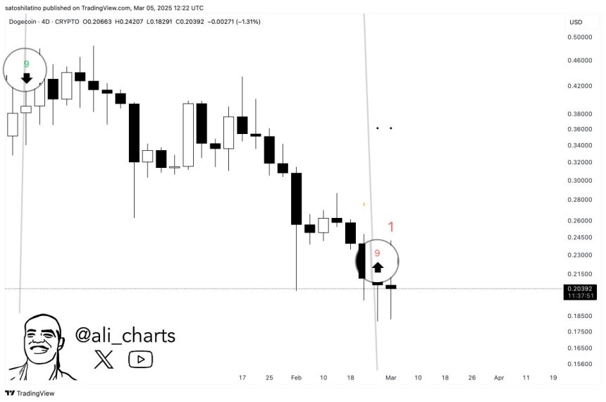 Dogecoin TD Sequential Indicator Flashes a Buy Signal | Source: Ali Martinez on X