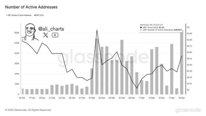 XRP's Activity Address | Source: Ali Martinez on X